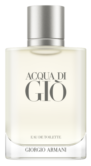 ARMANI ACQUA DI GIO HOMME EDT 100ML